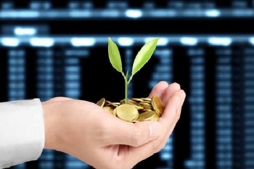 泰山陪爬小伙四天吃住在景区爬近八万个台阶 挣近5000元