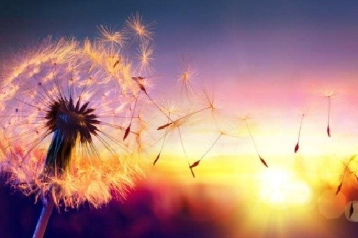 美团王莆中：将保证美团骑手收入永远在蓝领第一梯队