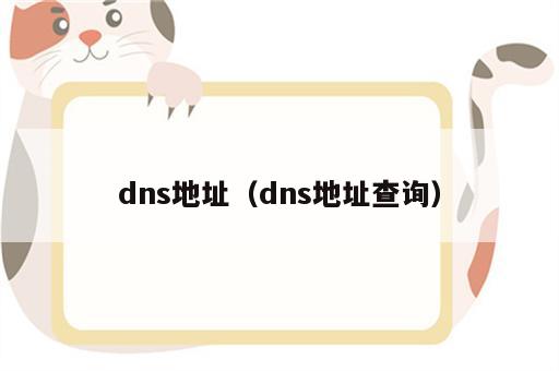 dns地址（dns地址查询）