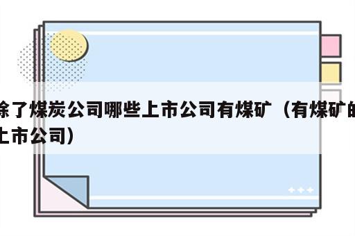 除了煤炭公司哪些上市公司有煤矿（有煤矿的上市公司）