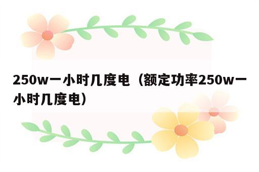 250w一小时几度电（额定功率250w一小时几度电）