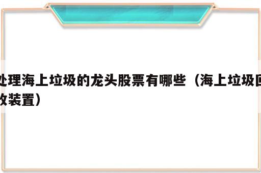 处理海上垃圾的龙头股票有哪些（海上垃圾回收装置）