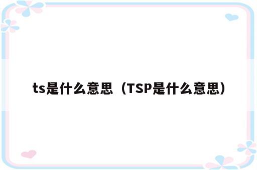 ts是什么意思（TSP是什么意思）