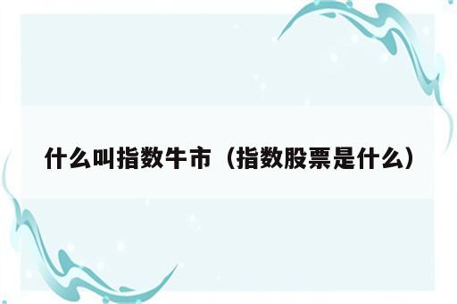 什么叫指数牛市（指数股票是什么）