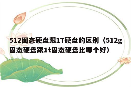 512固态硬盘跟1T硬盘的区别（512g固态硬盘跟1t固态硬盘比哪个好）