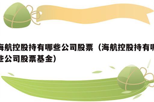 海航控股持有哪些公司股票（海航控股持有哪些公司股票基金）