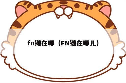 fn键在哪（FN键在哪儿）