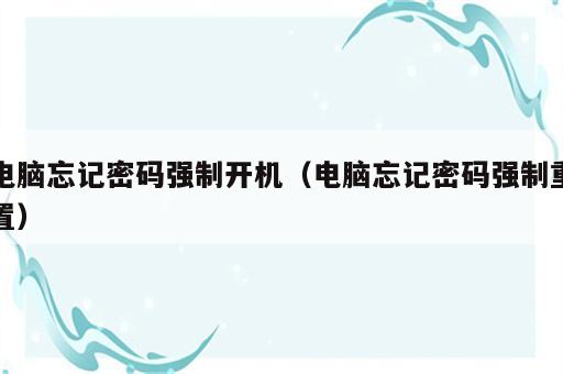 电脑忘记密码强制开机（电脑忘记密码强制重置）