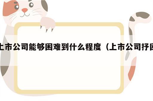 上市公司能够困难到什么程度（上市公司抒困）