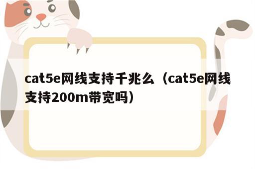 cat5e网线支持千兆么（cat5e网线支持200m带宽吗）