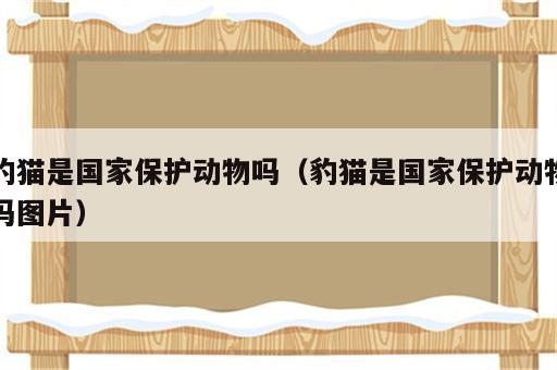 豹猫是国家保护动物吗（豹猫是国家保护动物吗图片）