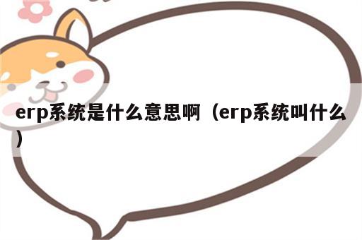 erp系统是什么意思啊（erp系统叫什么）