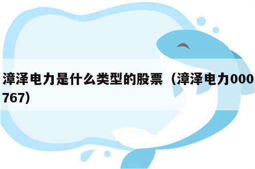 漳泽电力是什么类型的股票（漳泽电力000767）