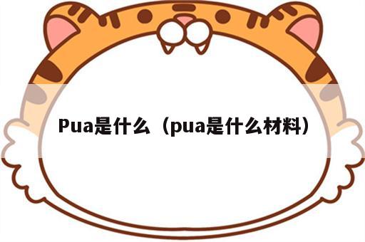 Pua是什么（pua是什么材料）