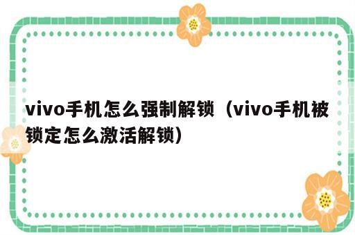 vivo手机怎么强制解锁（vivo手机被锁定怎么激活解锁）