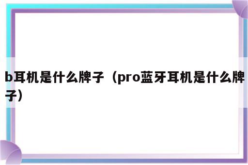 b耳机是什么牌子（pro蓝牙耳机是什么牌子）