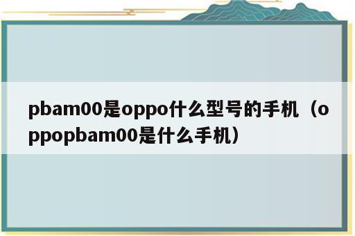 pbam00是oppo什么型号的手机（oppopbam00是什么手机）