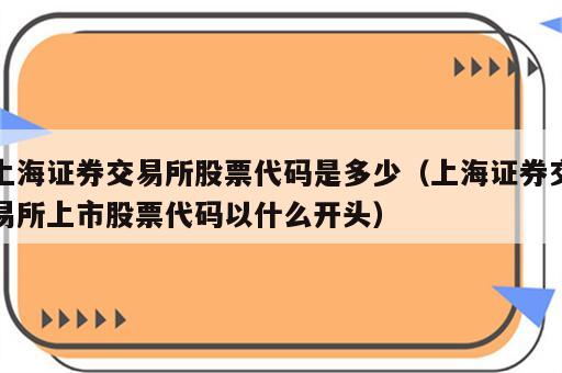 上海证券交易所股票代码是多少（上海证券交易所上市股票代码以什么开头）