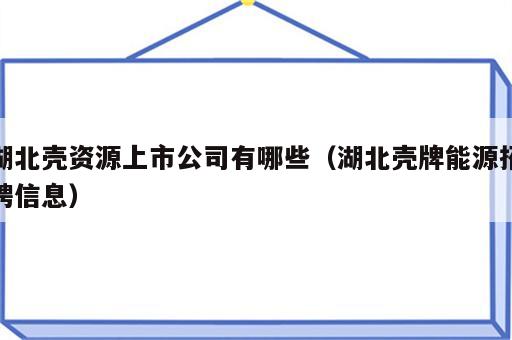 湖北壳资源上市公司有哪些（湖北壳牌能源招聘信息）