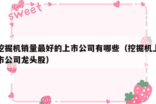 挖掘机销量最好的上市公司有哪些（挖掘机上市公司龙头股）