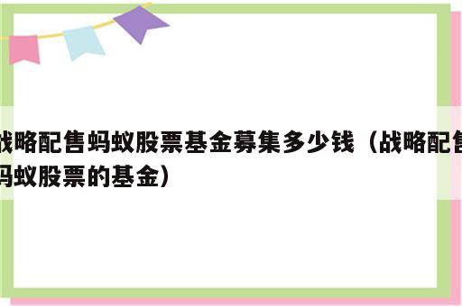 战略配售蚂蚁股票基金募集多少钱（战略配售蚂蚁股票的基金）