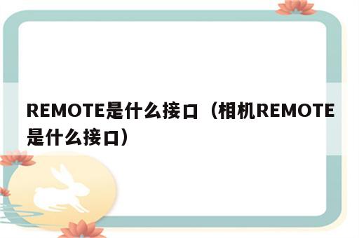 REMOTE是什么接口（相机REMOTE是什么接口）