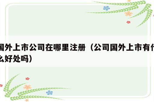 国外上市公司在哪里注册（公司国外上市有什么好处吗）