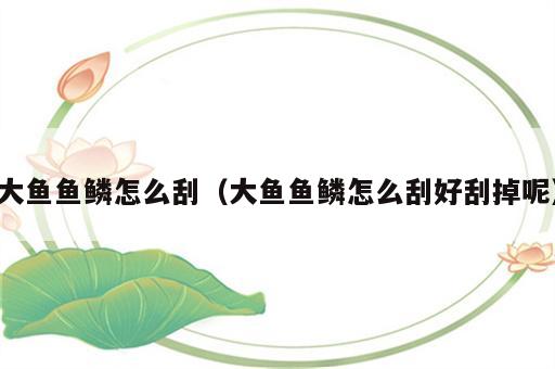 大鱼鱼鳞怎么刮（大鱼鱼鳞怎么刮好刮掉呢）