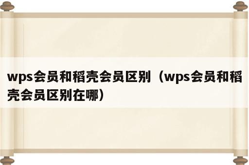 wps会员和稻壳会员区别（wps会员和稻壳会员区别在哪）