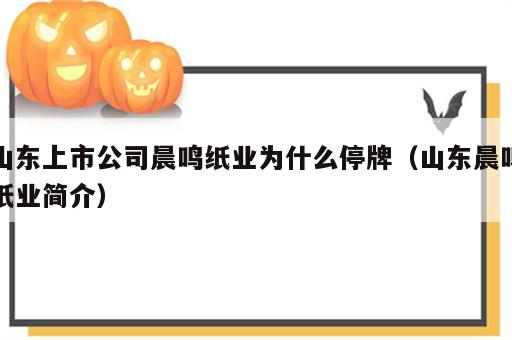 山东上市公司晨鸣纸业为什么停牌（山东晨鸣纸业简介）