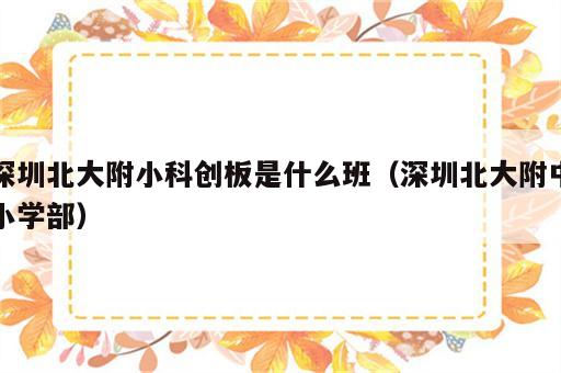 深圳北大附小科创板是什么班（深圳北大附中小学部）