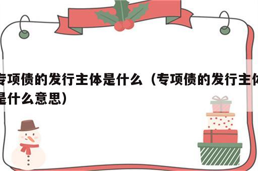 专项债的发行主体是什么（专项债的发行主体是什么意思）