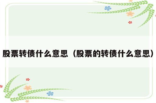 股票转债什么意思（股票的转债什么意思）