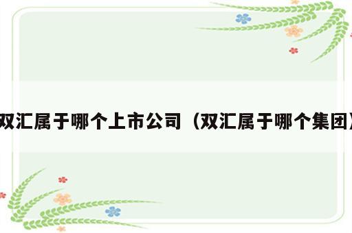 双汇属于哪个上市公司（双汇属于哪个集团）