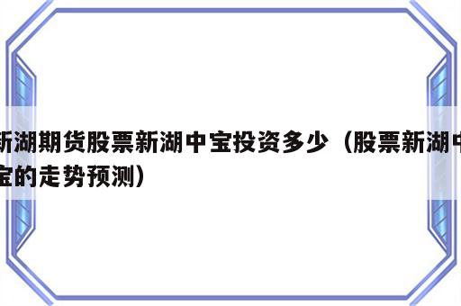 新湖期货股票新湖中宝投资多少（股票新湖中宝的走势预测）