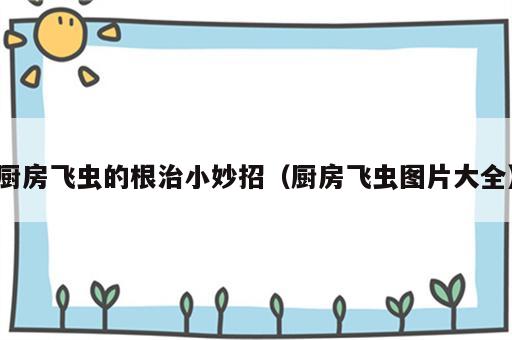 厨房飞虫的根治小妙招（厨房飞虫图片大全）