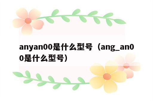 anyan00是什么型号（ang_an00是什么型号）