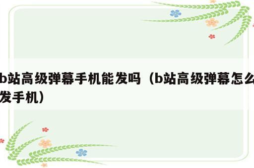 b站高级弹幕手机能发吗（b站高级弹幕怎么发手机）