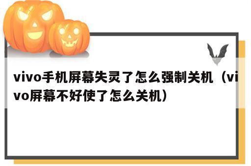 vivo手机屏幕失灵了怎么强制关机（vivo屏幕不好使了怎么关机）