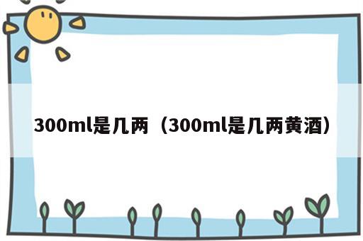 300ml是几两（300ml是几两黄酒）