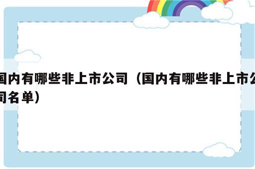 国内有哪些非上市公司（国内有哪些非上市公司名单）