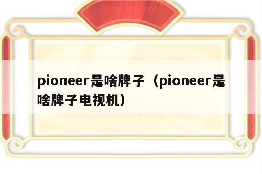pioneer是啥牌子（pioneer是啥牌子电视机）