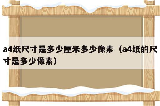 a4纸尺寸是多少厘米多少像素（a4纸的尺寸是多少像素）