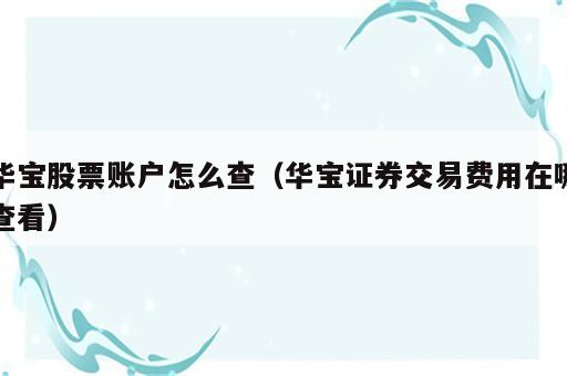 华宝股票账户怎么查（华宝证券交易费用在哪查看）