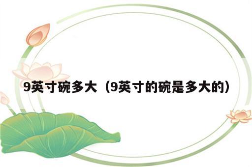 9英寸碗多大（9英寸的碗是多大的）