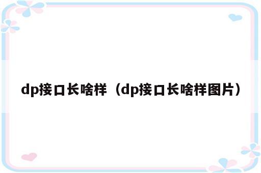 dp接口长啥样（dp接口长啥样图片）