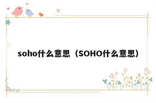 soho什么意思（SOHO什么意思）