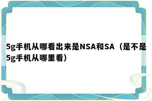 5g手机从哪看出来是NSA和SA（是不是5g手机从哪里看）