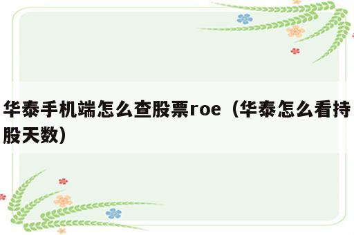 华泰手机端怎么查股票roe（华泰怎么看持股天数）
