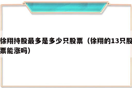 徐翔持股最多是多少只股票（徐翔的13只股票能涨吗）